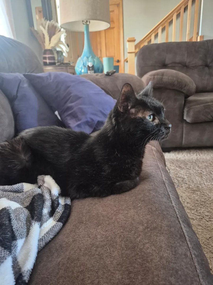 Sara Mary ⭐❤️ tweet media