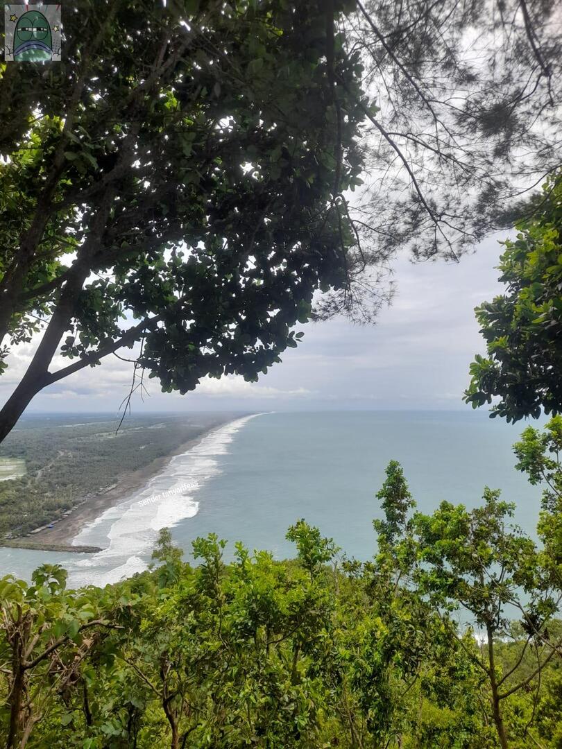 Tanyarlfes tweet media