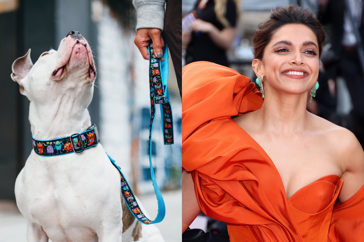 ๐๐ช๐ฅ๐๐ง ๐๐๐ง๐ค๐๐ฃ๐ tweet media