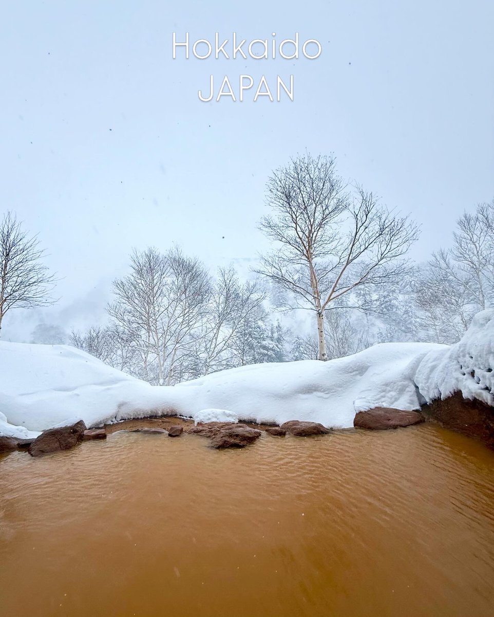 Japanguide_N's tweet photo. Ryounkaku Hotspring
Hokkaido, Japan🇯🇵

I'll be your private local guide in Japan✨
https://t.co/Qc4dsKWLUu https://t.co/BkQ5oSi4rK