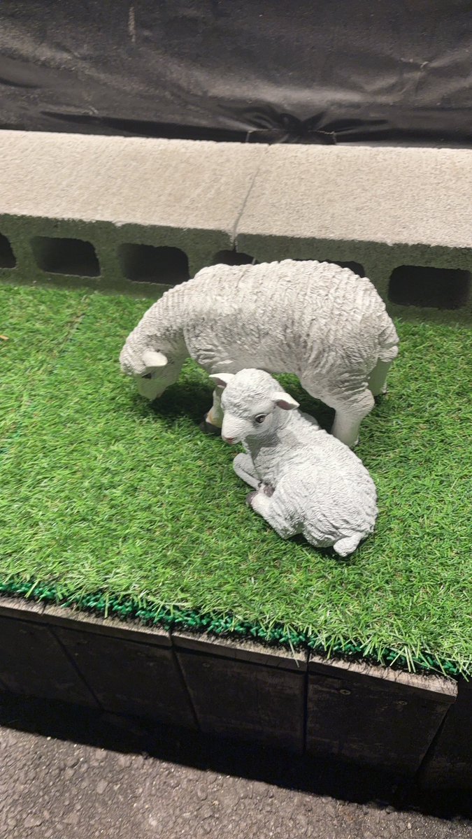 カタンのもえぴ tweet media