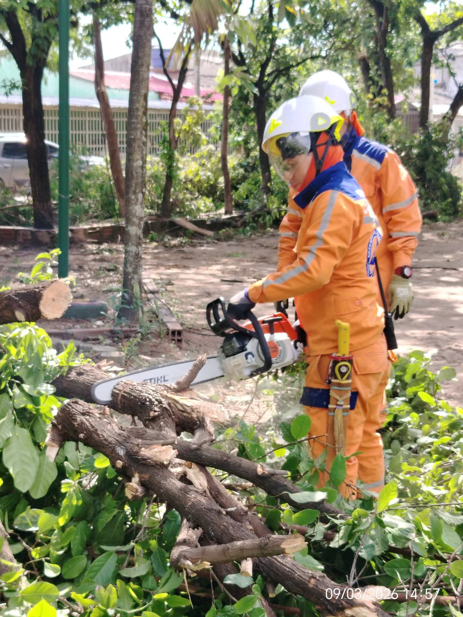 Finalmente se realizaron labores de corte y remoción de ramas, contribuyendo a reducir riesgos y a restablecer la seguridad en los sectores afectados.
#Huila #Neiva #ListosEnPazOEmergencia