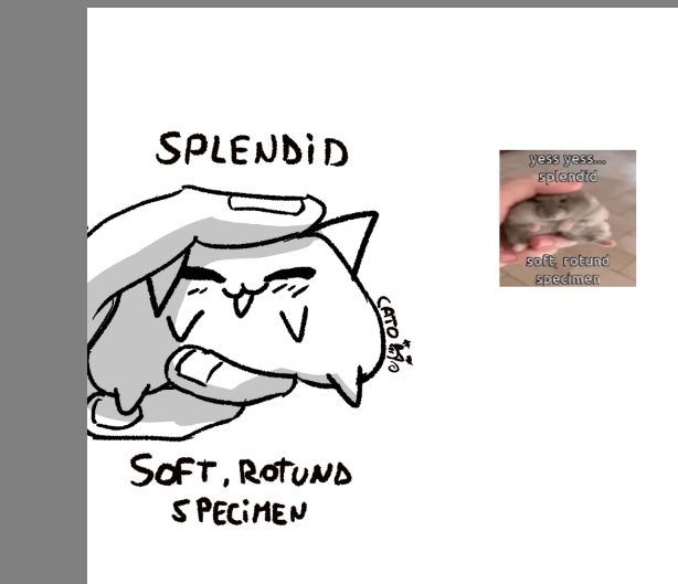 SwitchCato tweet media