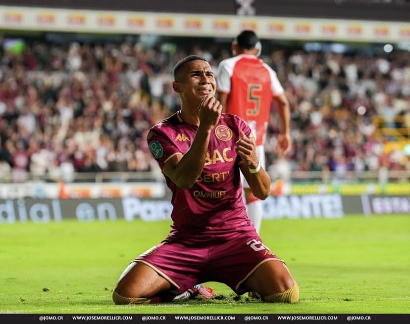 Tomás Fonseca tweet media