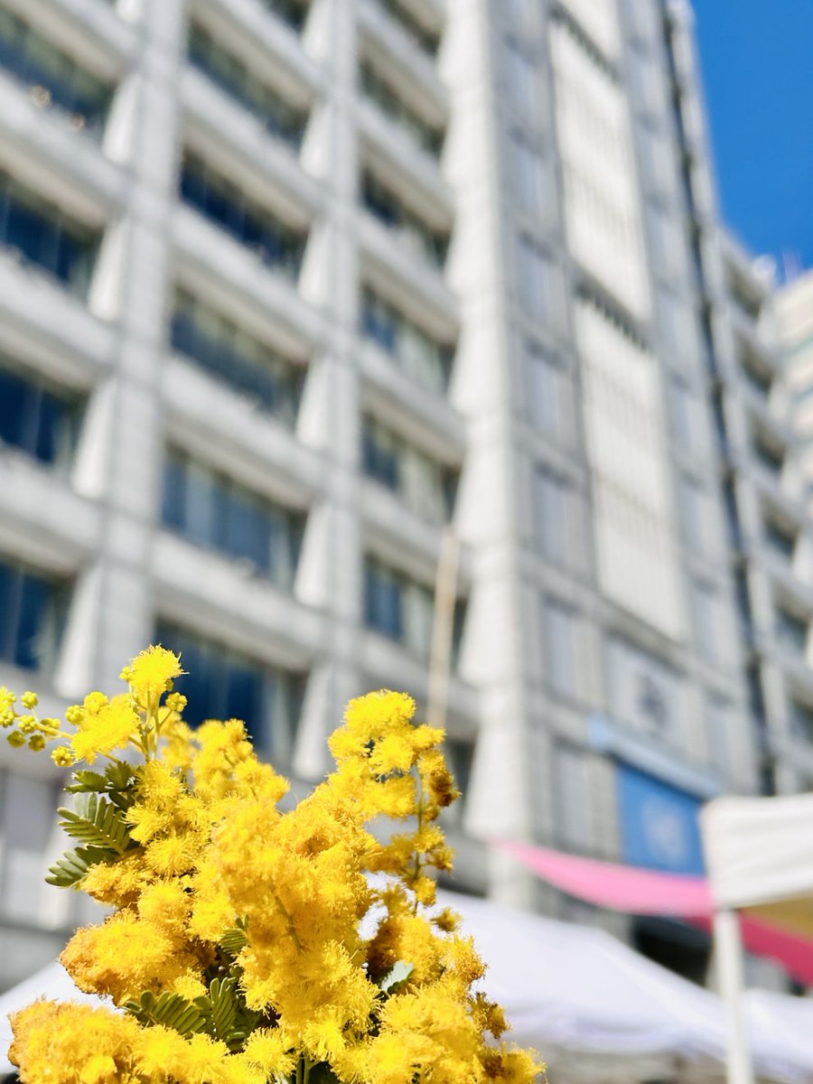 GlobalCompactJP's tweet photo. GCNJは #国際女性デー #IWD2026 に合わせ、#HAPPYWOMANFESTA2026 @happywomanassoc を後援しました💐　東京での会場となった国連大学ではブース出展も実施し、＃GenderEquality #ジェンダー平等 に向けた国連グローバル・コンパクトの取り組みを多くの来場者の方に知っていただく機会となりました💫 https://t.co/DfuBOiIg3l