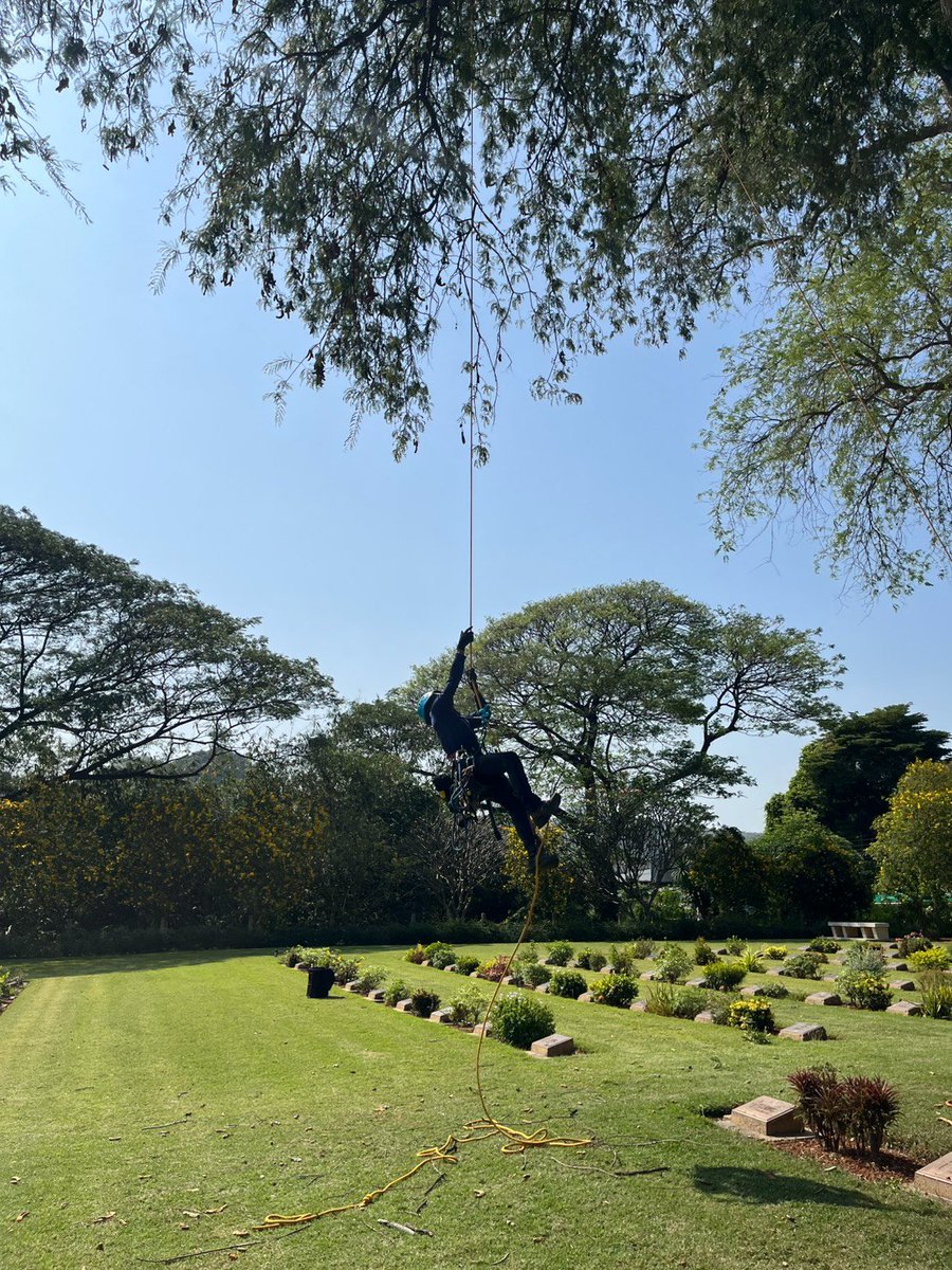 KanCwgc's tweet photo. Today saw the start of a major tree work project. Once Chungkai is completed we will be moving to Kanchanaburi War Cemetery ##OurWorkContinues @cwgc https://t.co/POPNaCE3Wp