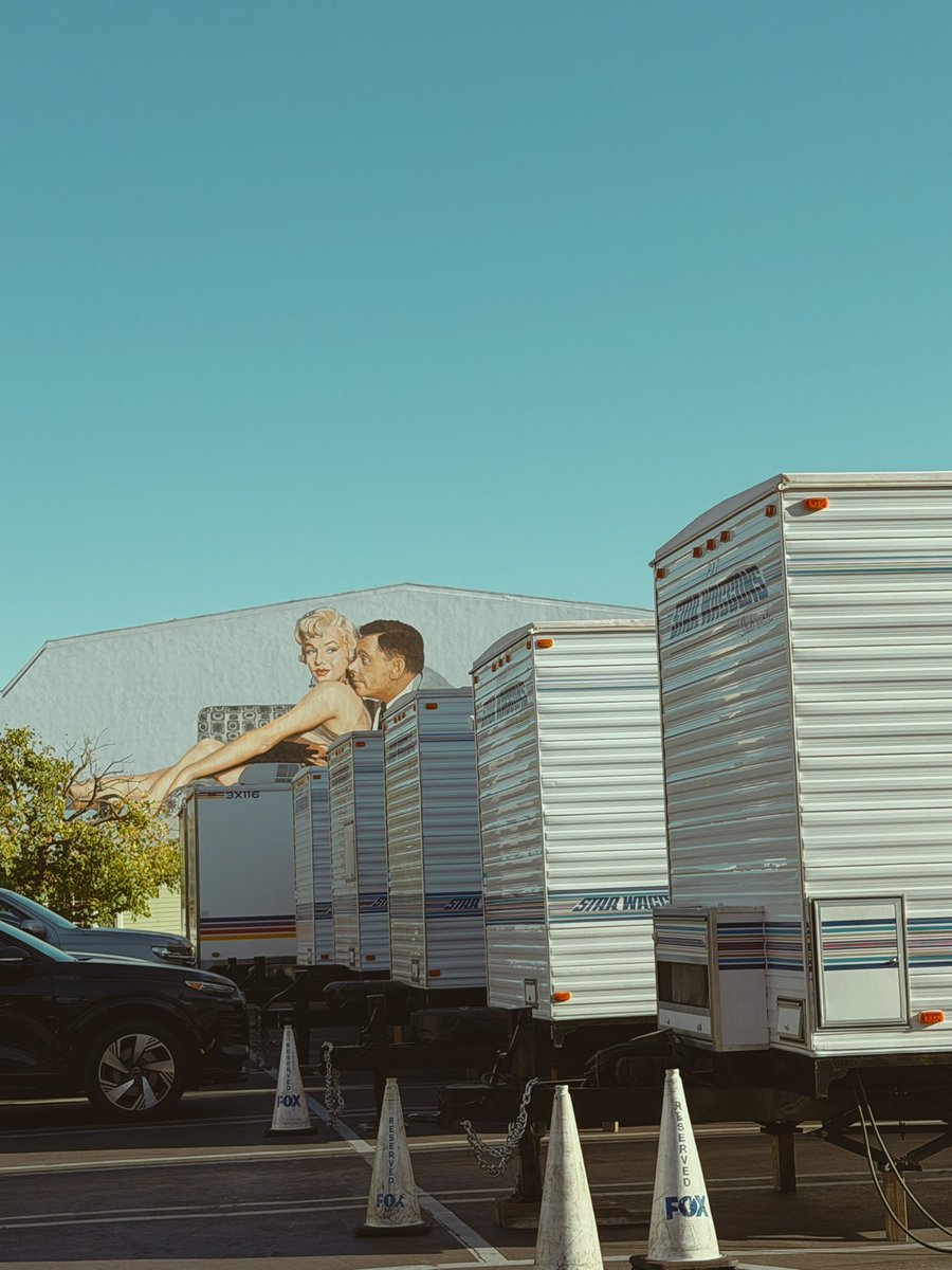 Curt Mega tweet media