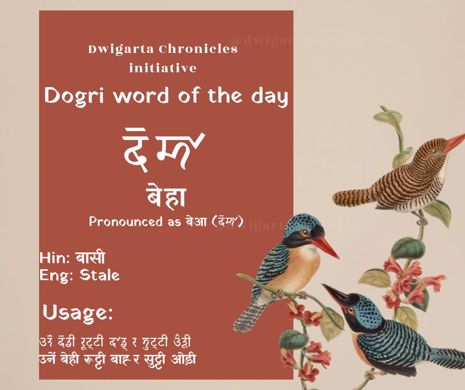 Dwigarta Chronicles⚡️𑠛𑠹𑠦𑠭𑠌𑠬𑠤𑠙 tweet media