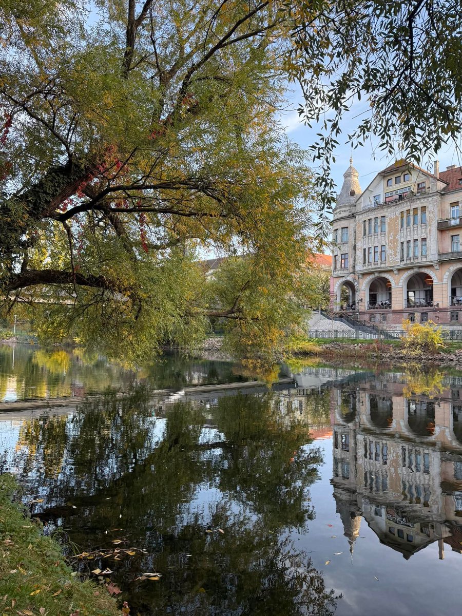 ₿alkan ₿adass tweet media