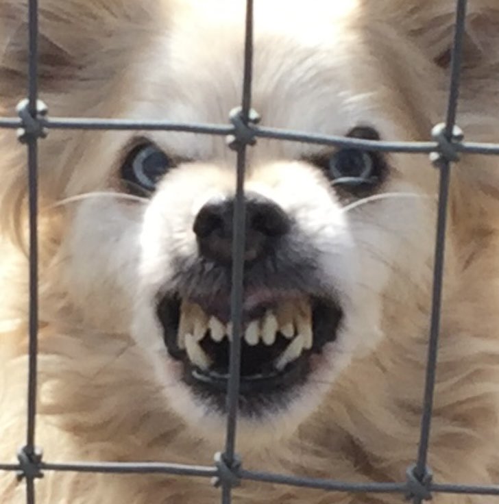 ℌ𝔬𝔩𝔡𝔣𝔞𝔰𝔱 ℌ𝔬𝔪𝔦𝔢 tweet media