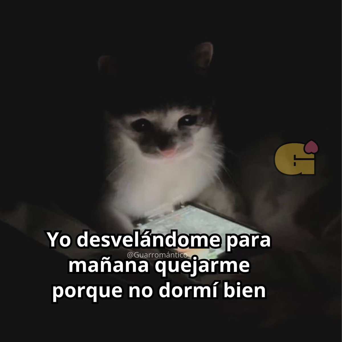 Guarromantico_'s tweet photo. Desvelándome. https://t.co/dM7nDtPhQH