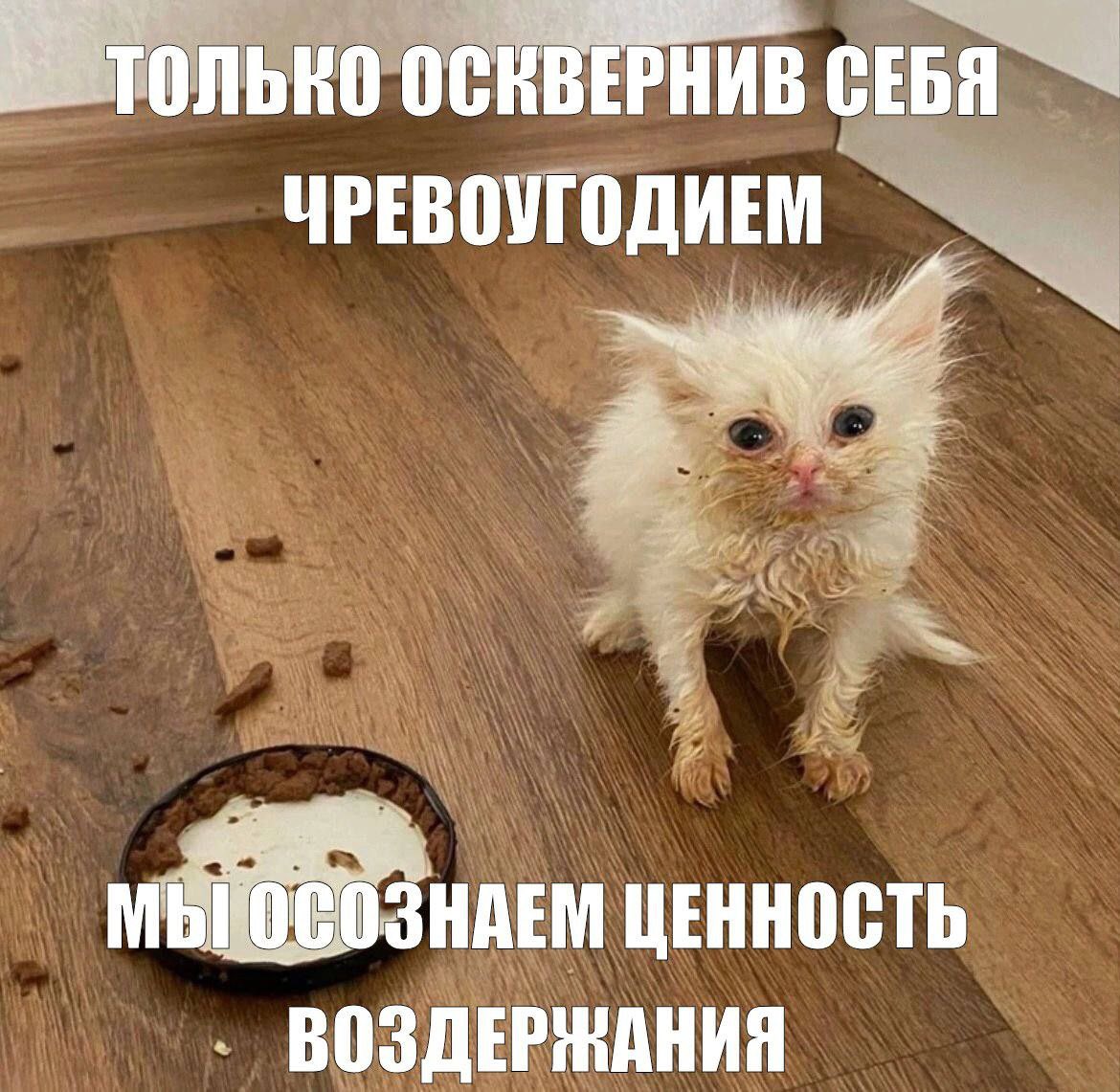 Доброе утро