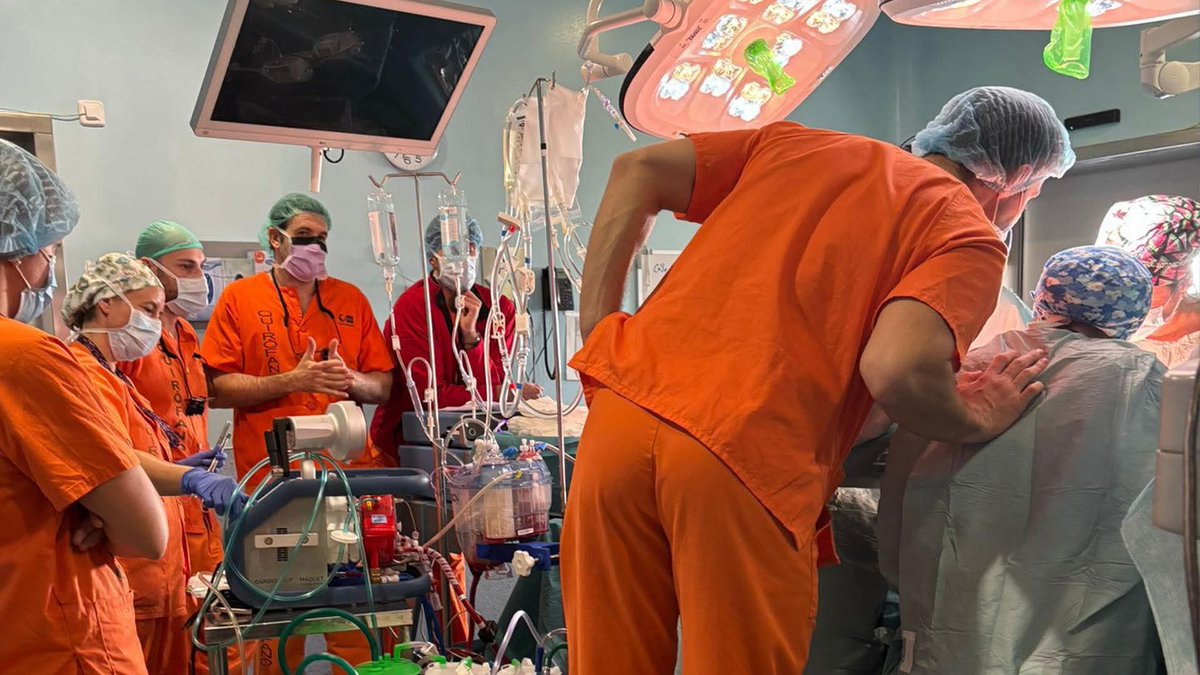 ALCER Madrid tweet media