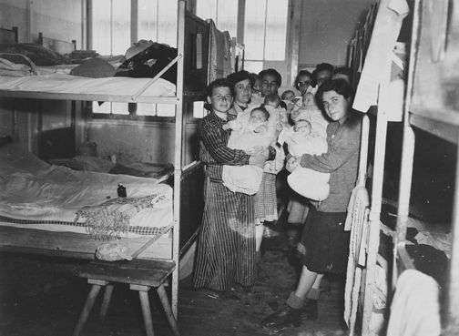 benwehrman's tweet photo. Did you know that over 3,000 healthy Jewish babies were born in Auschwitz during World War 2?

Why were the Germans so accommodating in allowing Jews to safely and comfortably reproduce, when they were just going to gas them all to death? 🤔 https://t.co/ShsaUW4wyx