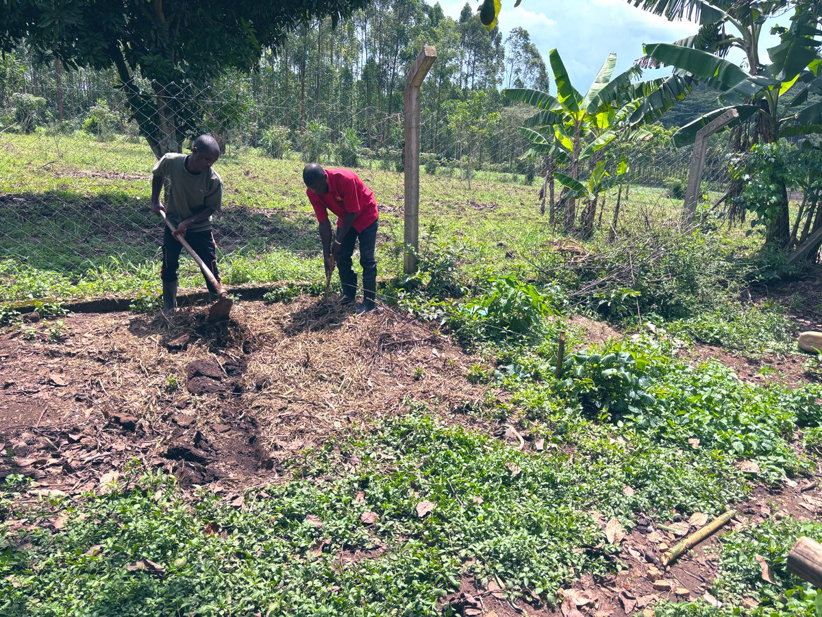 BiogasExpertUg's tweet photo. Site marked in Mityana for a 13cubic Biodigester plant. Biogas offers a safer cooking environment that’s entirely smoke free. Biogas can be generated from all organic wastes if well prepared for bacterial action
Let’s maximize your farm waste by generating biogas and the bio fertilizer 

Call us on: 0783 111 015 

BIOGAS EXPERTS UGANDS 
https://t.co/8LZTNHFQ2X