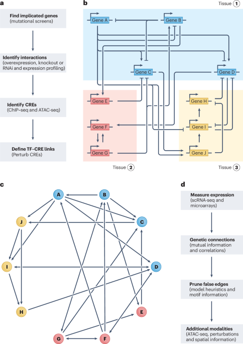 Nature Reviews Genetics tweet media