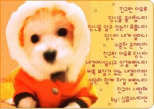 찰리백작(a.k.a 디바잭슨) (@lbi0t) on Twitter photo 