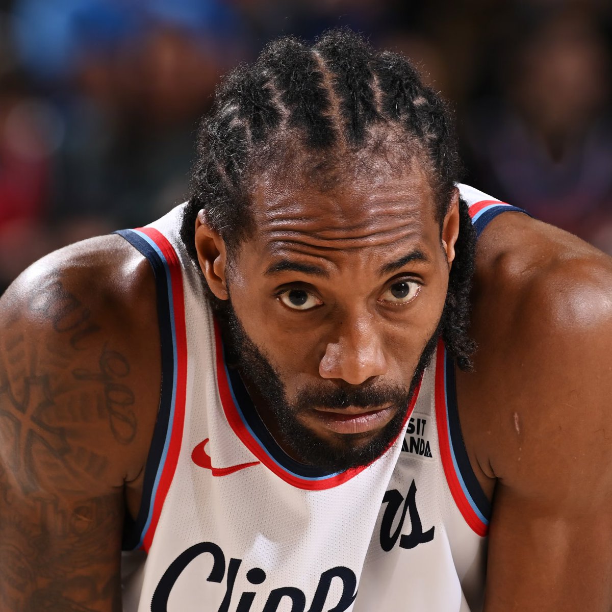 Legion Hoops tweet media