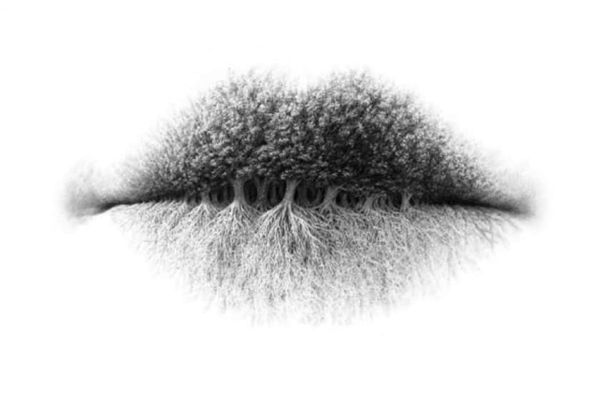 Kaizen Mindset 🌱 tweet media