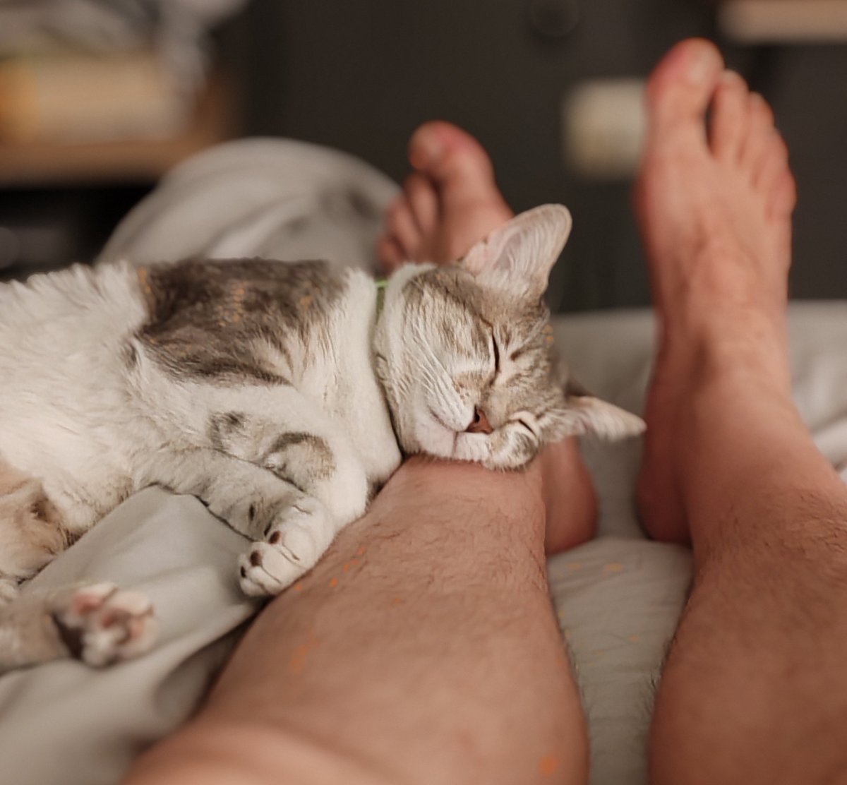 Boyo Thick & Juicy tweet media