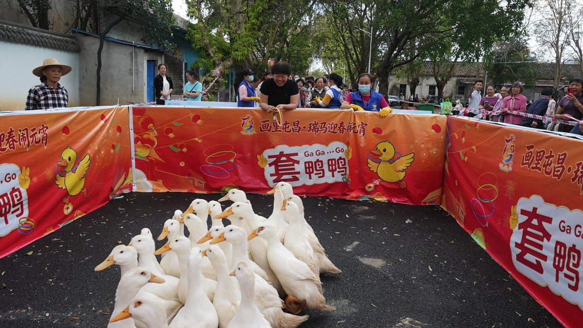 HainanToday's tweet image. Recently, Tunchang held a fun Lantern Festival fair at Jinzhuyuan Creative Block. Interactive games like duck ring-tossing were a hit, drawing many families and filling the place with joy.
#Tunchang #LanternFestival #FestiveFun #Hainan