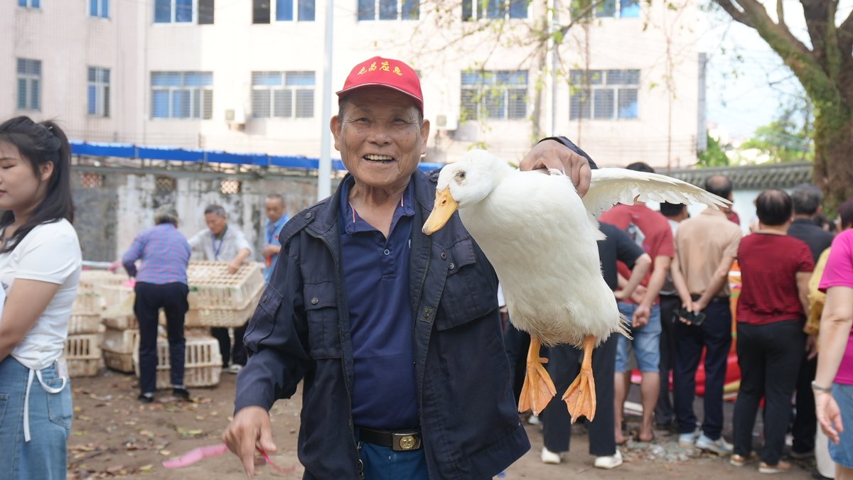 HainanToday's tweet image. Recently, Tunchang held a fun Lantern Festival fair at Jinzhuyuan Creative Block. Interactive games like duck ring-tossing were a hit, drawing many families and filling the place with joy.
#Tunchang #LanternFestival #FestiveFun #Hainan