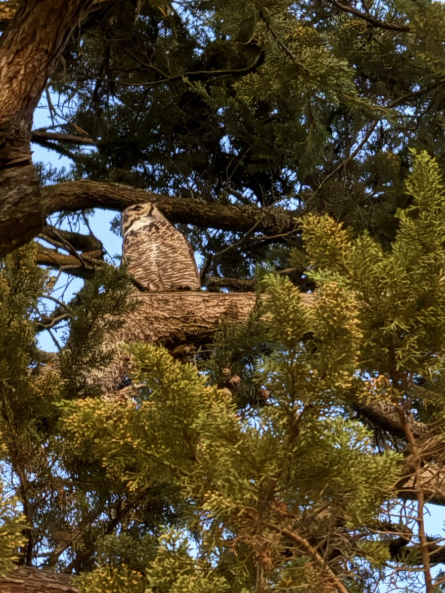 benarent tweet media