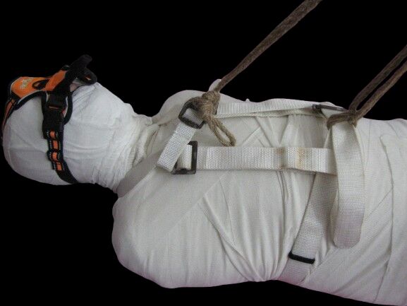 Mummy Figure tweet media