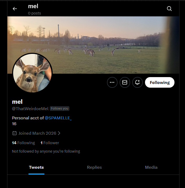 SPAMELLE! tweet media