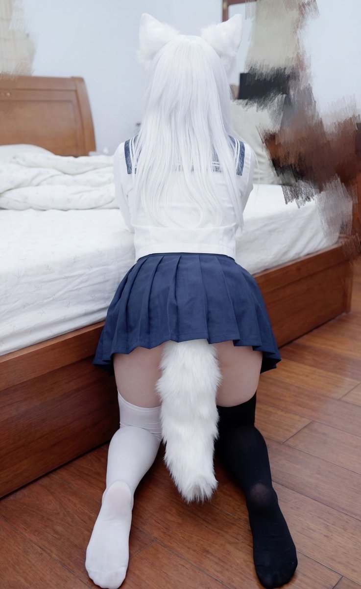 白犬LIMITNON tweet media
