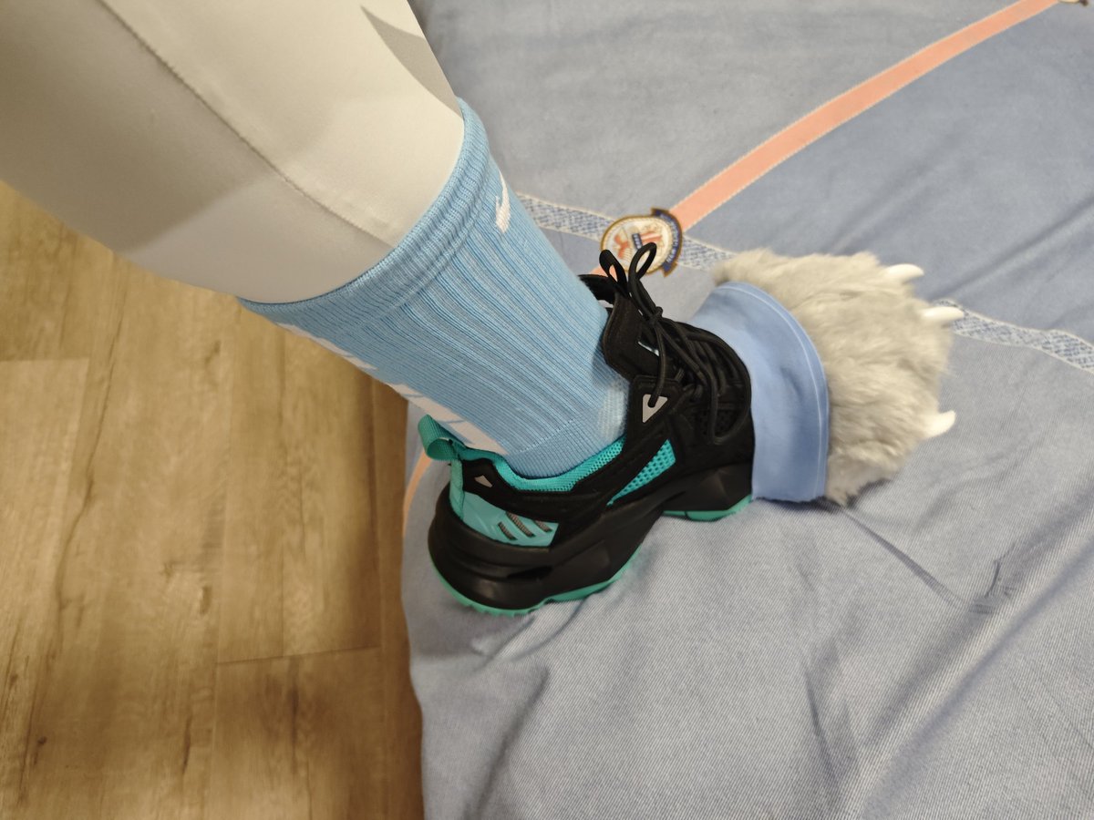 Shi-Ro丶 tweet media