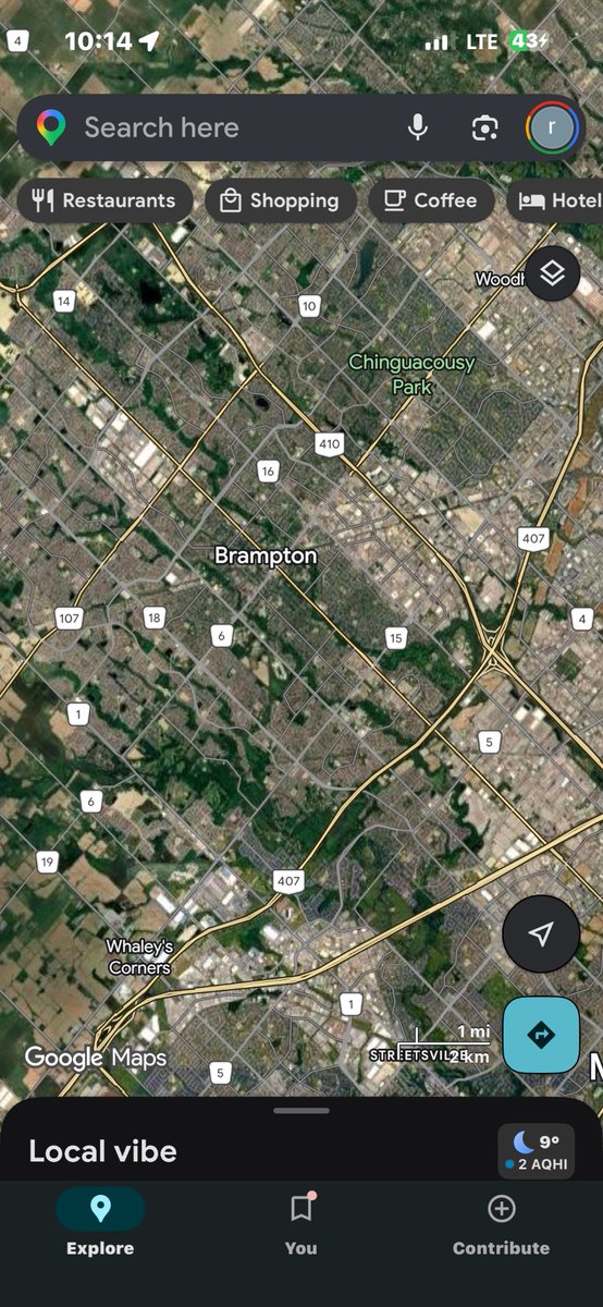 icepanther tweet media