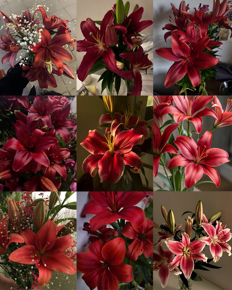 Flowers (@flowers489) on Twitter photo 