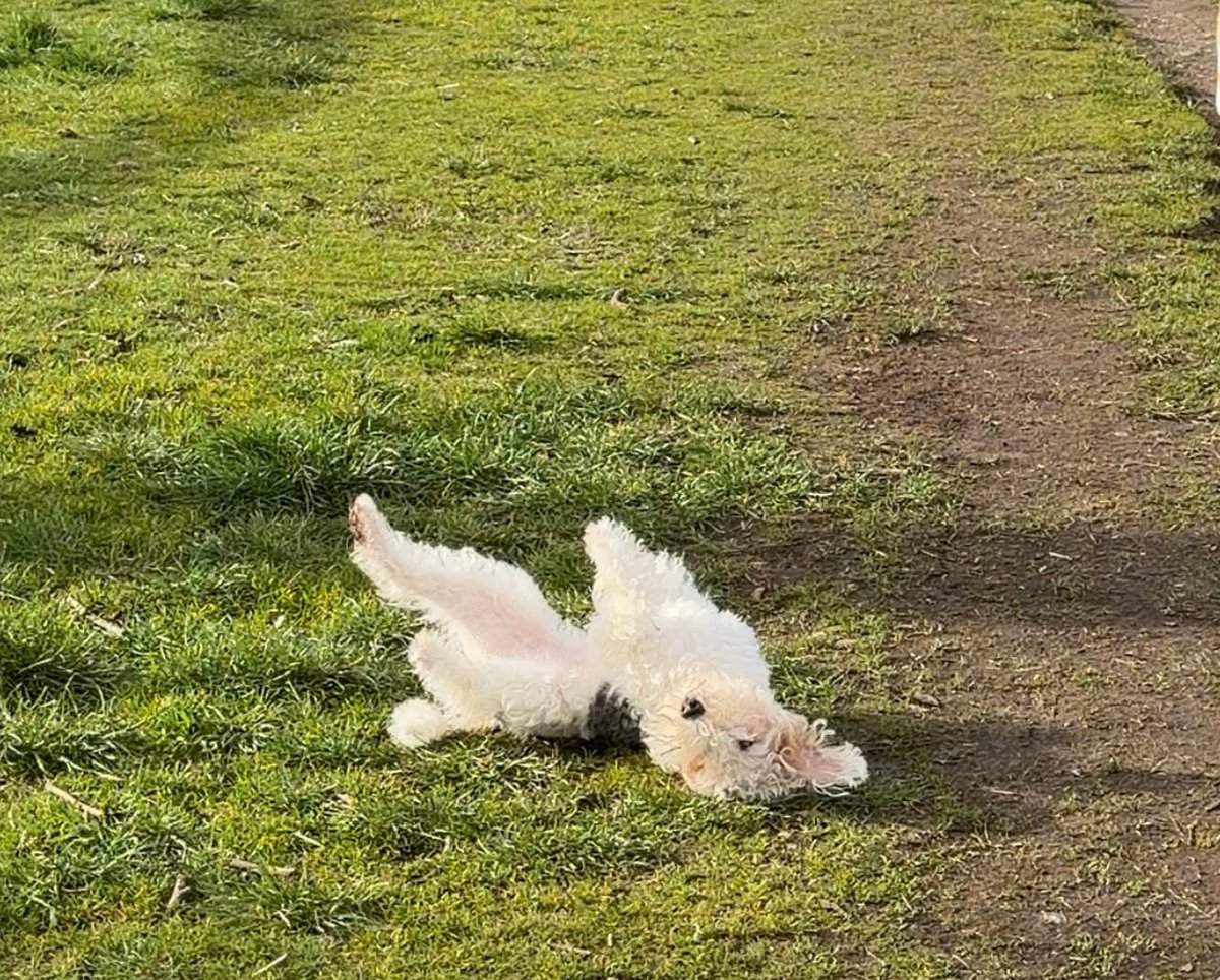 호밀빵의 파수꾼 tweet media