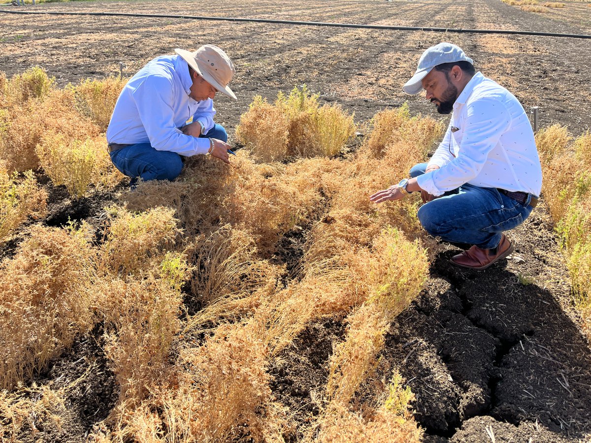 Ashutosh Kumar Yadav tweet media