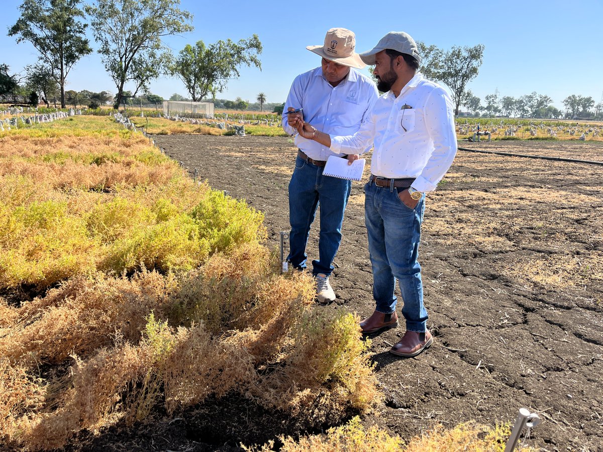 Ashutosh Kumar Yadav tweet media