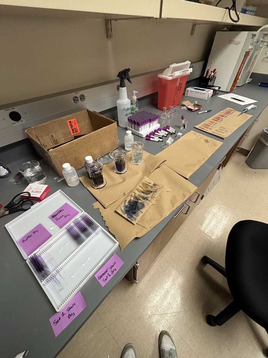 Got to get into the lab today at DSU!

The process to have gotten into the lab for science fair was an expedited one, however after weeks of planning we made it. Today I had 10 tubes of blood drawn from me and imaged 300 blood smears through the Clinivue device.

I am finally