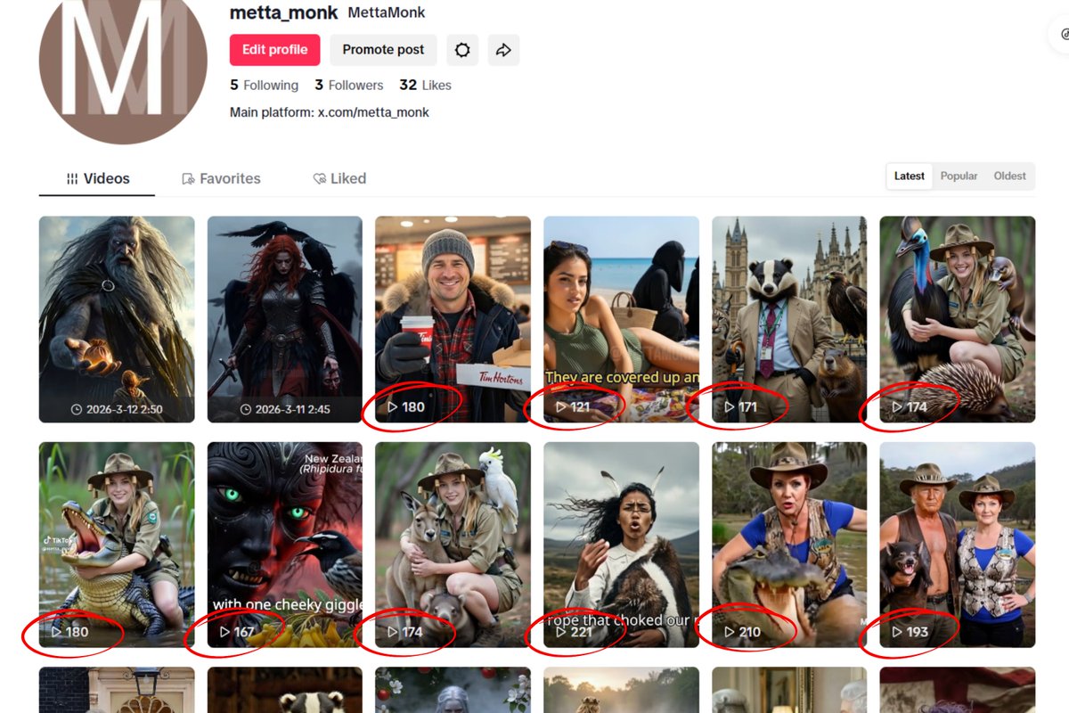 MettaMonk tweet media