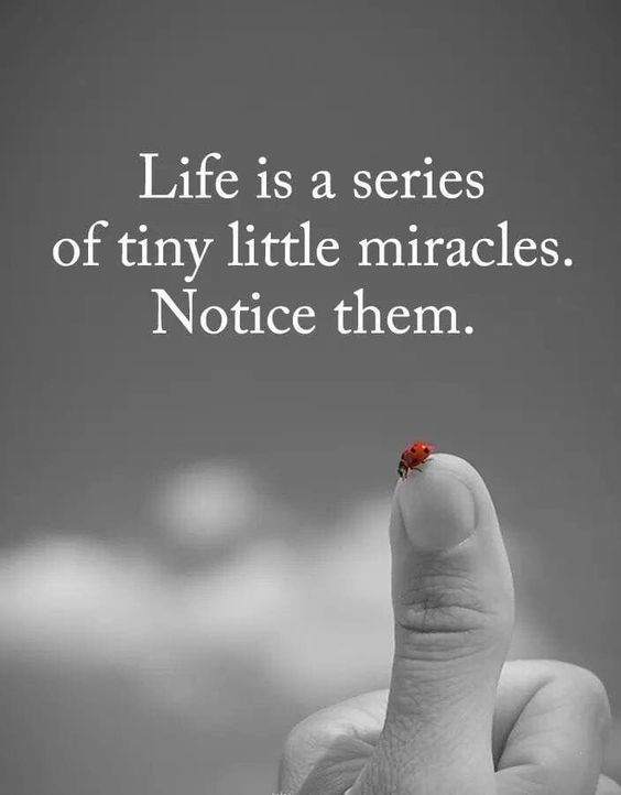 POSITIVITY tweet media