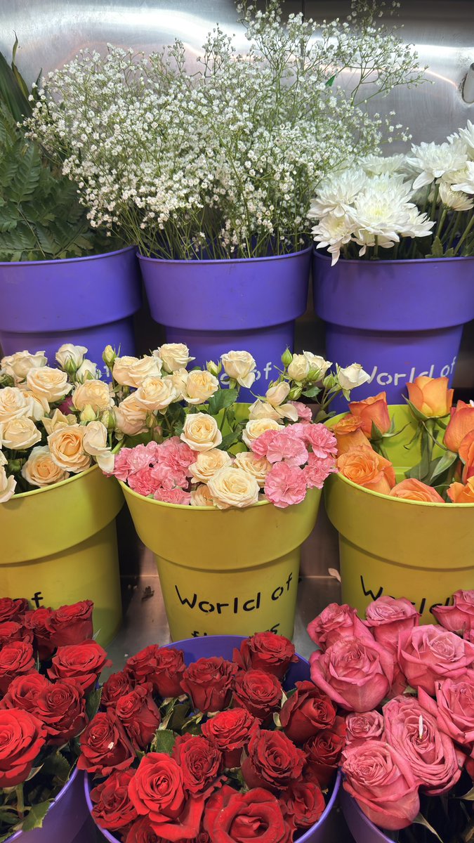 قـيس بن حسـين 🇴🇲 tweet media