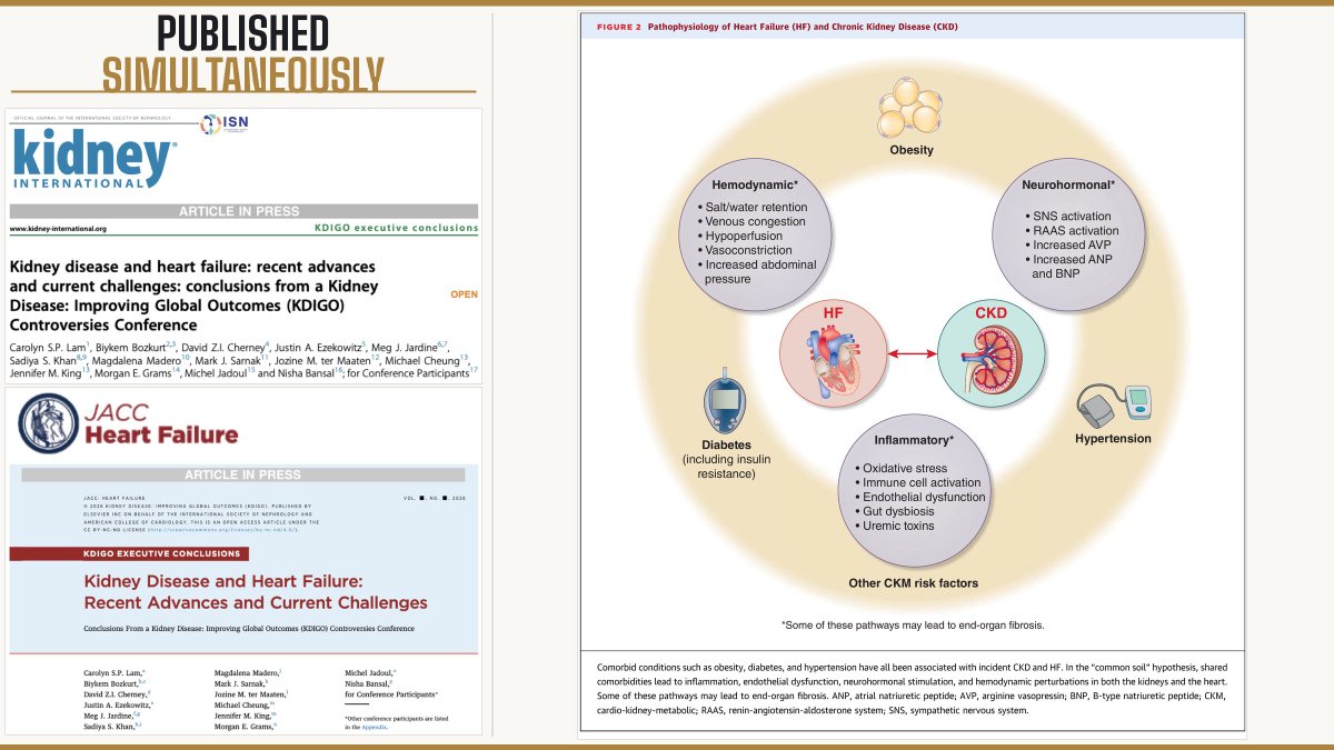 Carolyn Lam tweet media