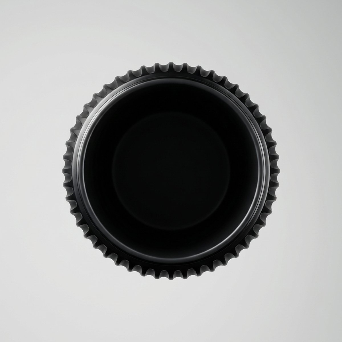 Bailey Elith tweet media