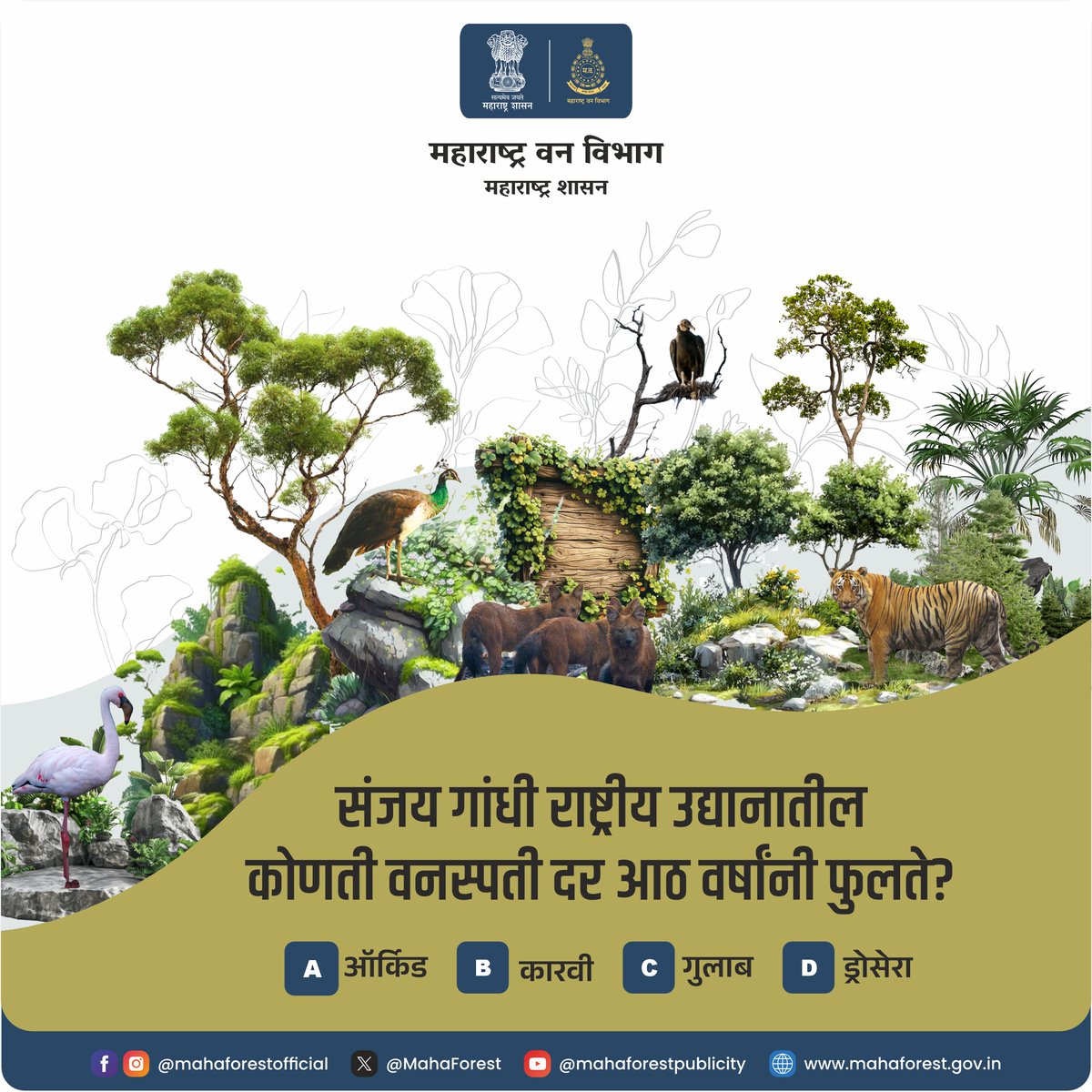 Maha Forest Official tweet media