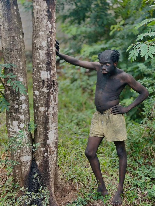 Aronnie 😎 tweet media