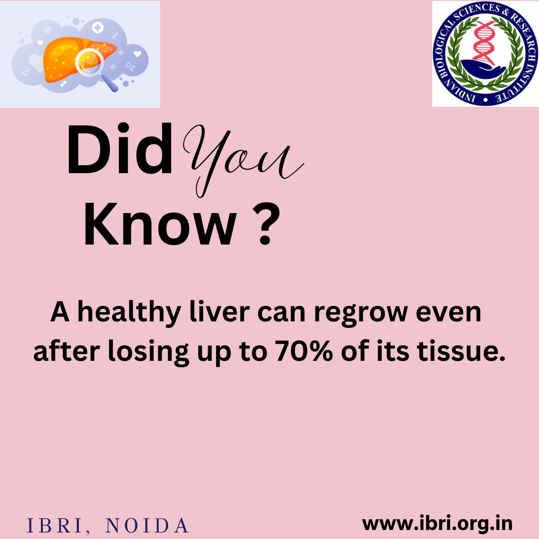 Ibri_Noida's tweet photo. Did you know? A healthy liver can regenerate even after losing up to 70% of its tissue.

One of the most powerful regenerative organs in the human body!

#LiverHealth #MedicalFacts #DidYouKnow #HealthScience https://t.co/kjB3r57vwG