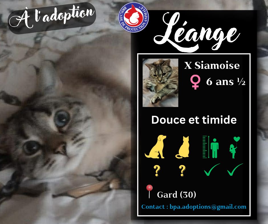 Brigade de Protection Animale – BPA tweet media