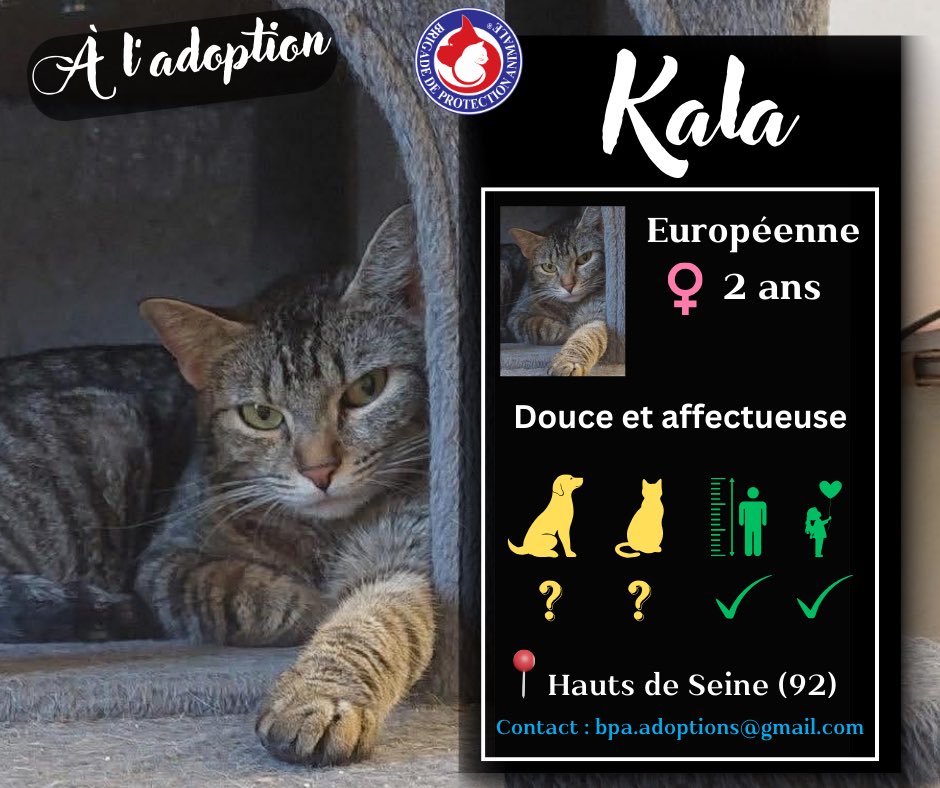 Brigade de Protection Animale – BPA tweet media