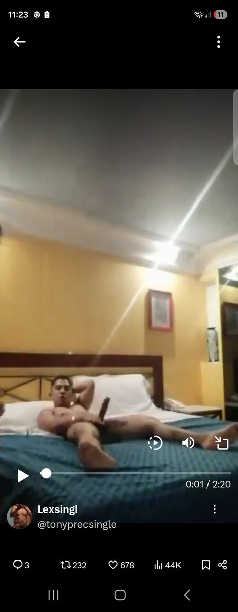 Lexsingl tweet media