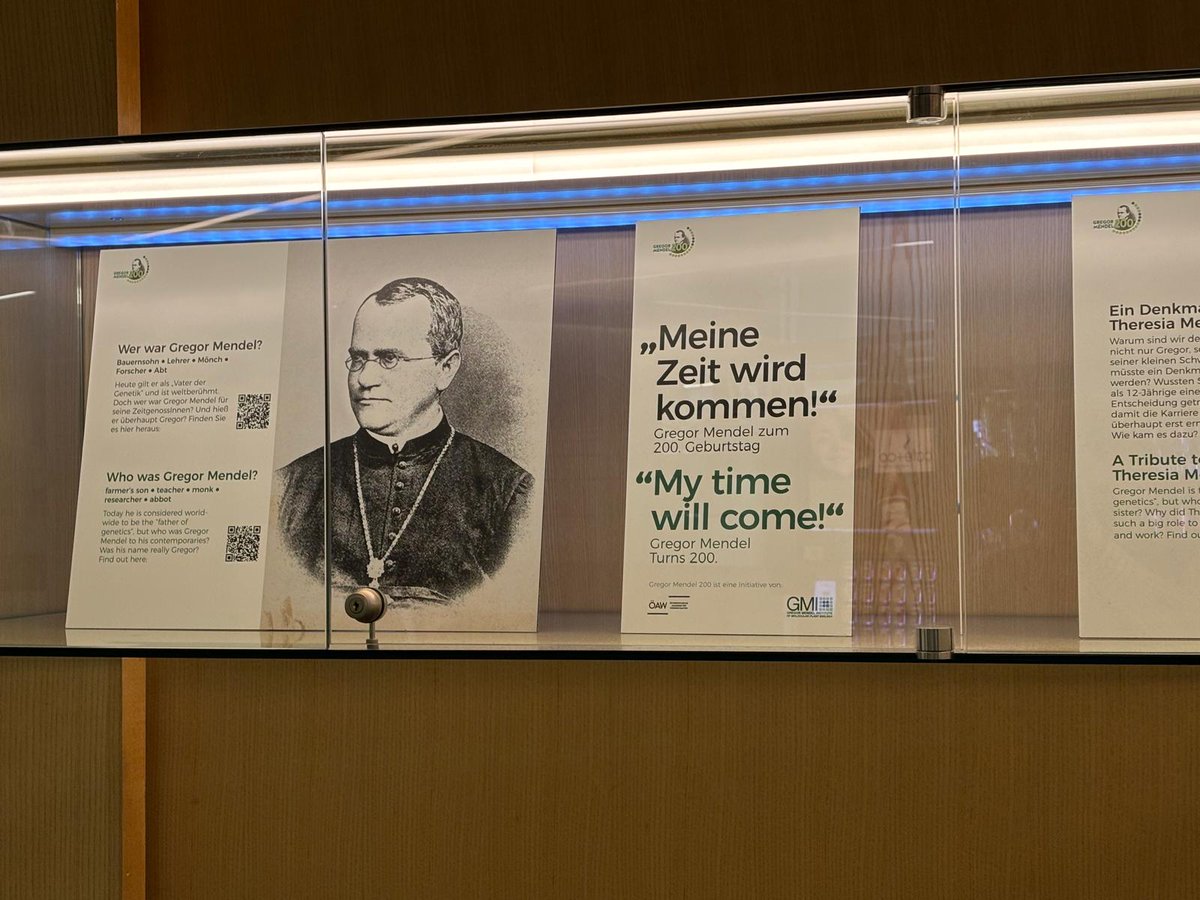 Alfonso Martinez Arias tweet media