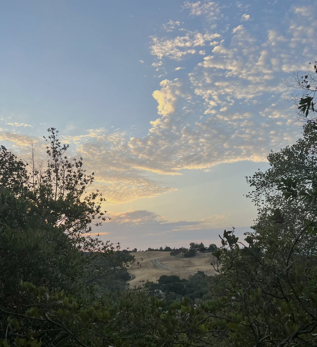 Sid Rajaram tweet media